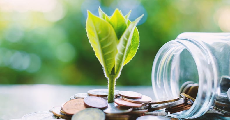 Saving pennies as part of your financial planning can lead to healthy growth.